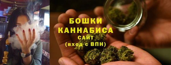 твердый Абаза