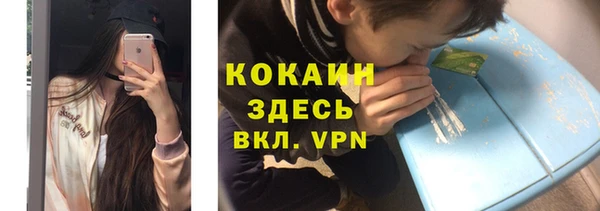 твердый Абаза