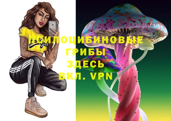 молекула духа Абинск