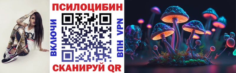 Псилоцибиновые грибы прущие грибы  Черноголовка 